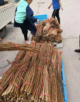 膨化食品